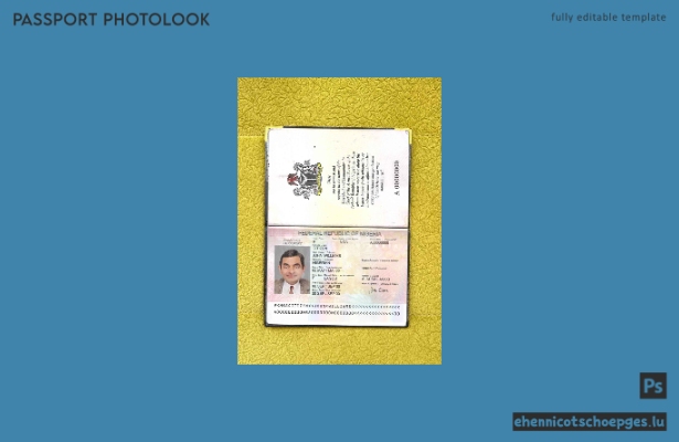 Beispielansicht für das Passfoto eines nigerianischen Reisepasses (2007–2019)